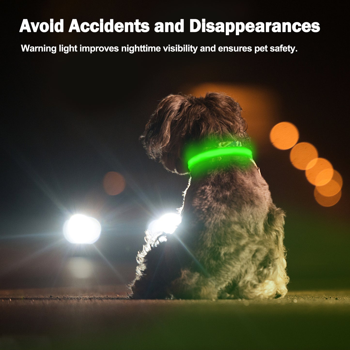 LED Light Up Dog Collar — Rechargeable with 3 Flash Modes
