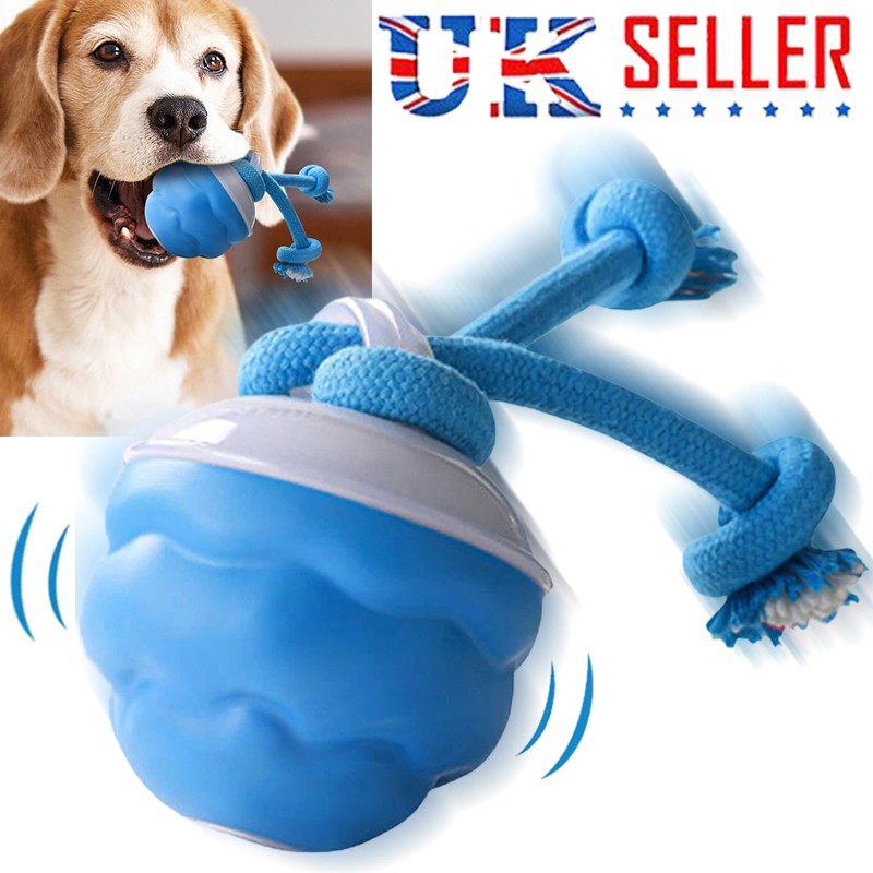 The Chase Buddy Dog Boredom Stimulating Toy Smart Pet Puppy Ball With Ropes