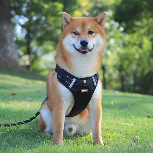 No-Pull Nylon Dog Harness — Breathable & Reflective