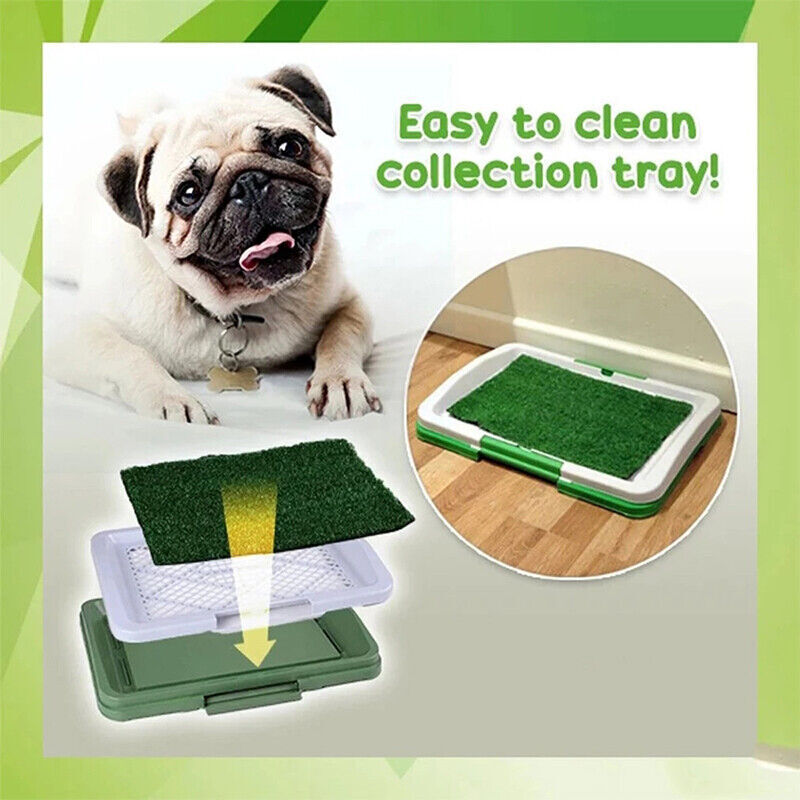 Indoor Dog Potty Training Grass Pad — Large Puppy Toilet Mat