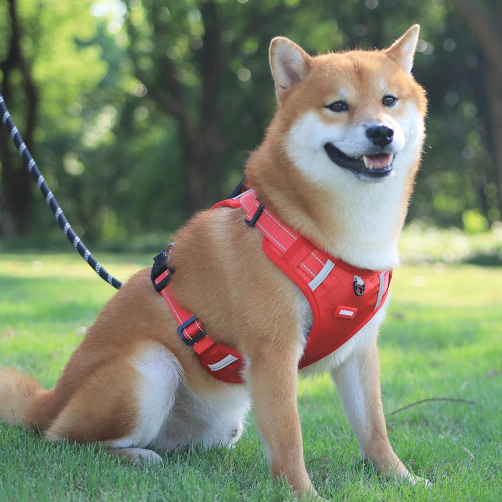 No-Pull Nylon Dog Harness — Breathable & Reflective