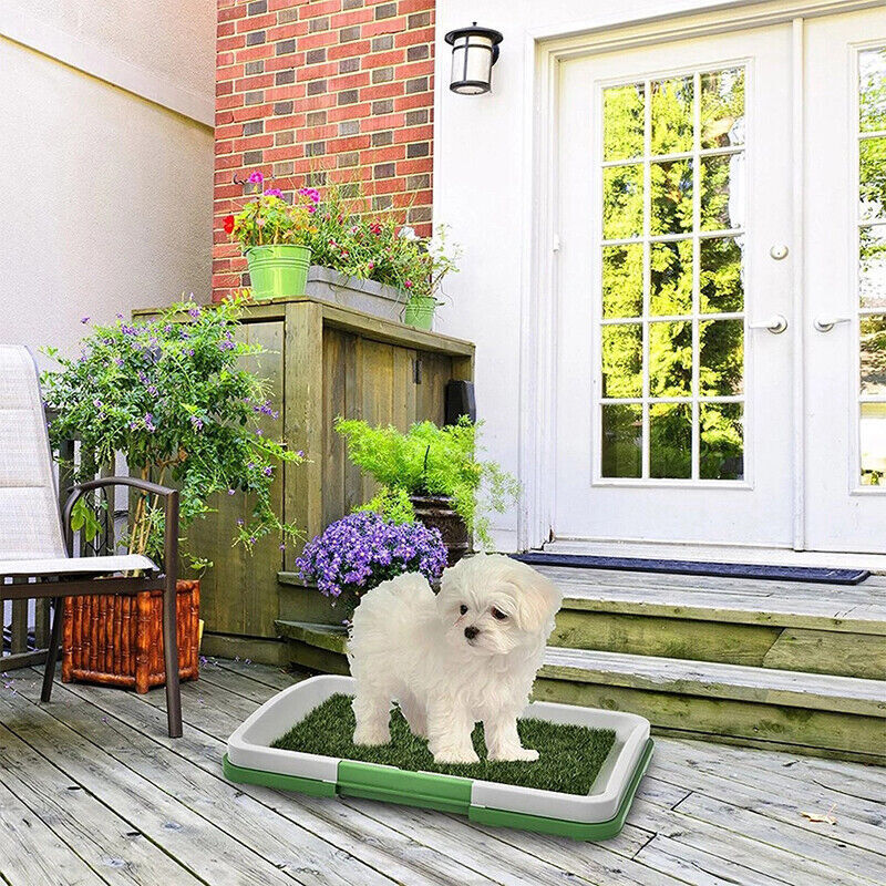 Indoor Dog Potty Training Grass Pad — Large Puppy Toilet Mat