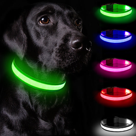 LED Light Up Dog Collar — Rechargeable with 3 Flash Modes