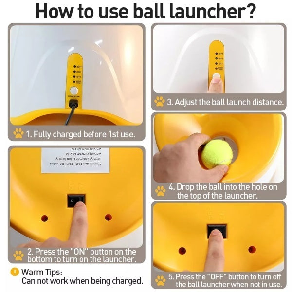 Automatic Dog Ball Launcher — Indoor & Outdoor