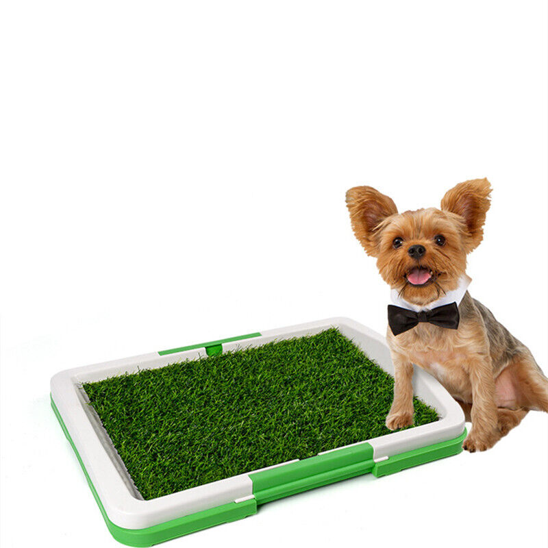 Indoor Dog Potty Training Grass Pad — Large Puppy Toilet Mat