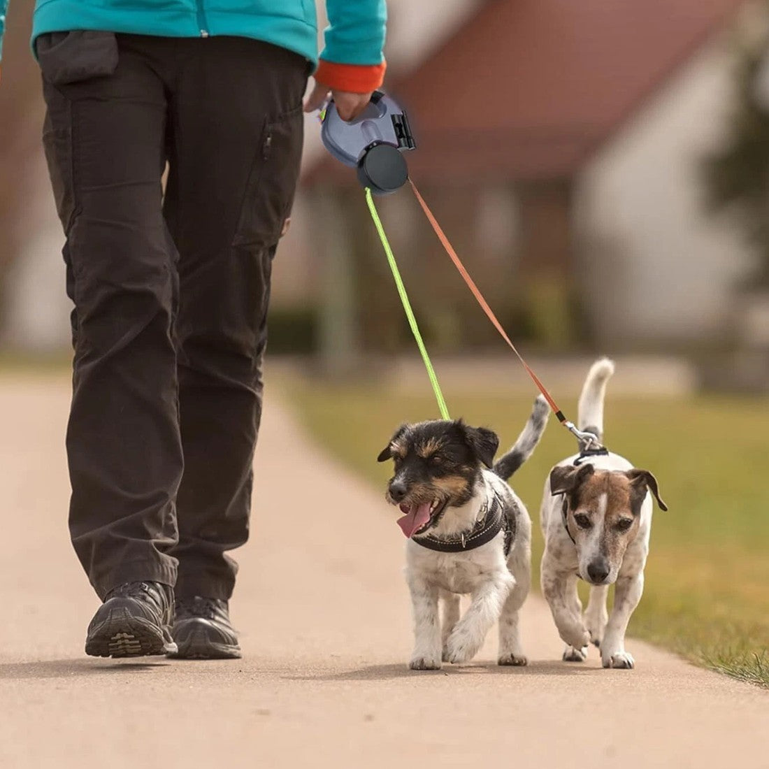 360° Retractable Double Dog Lead — For Walking Two Dogs