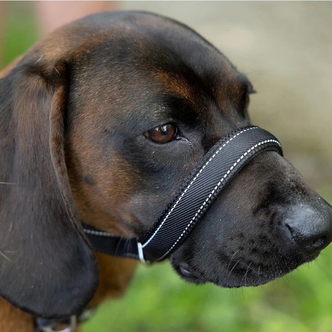 2-in-1 Dog Muzzle & Lead with Waste Bag Dispenser